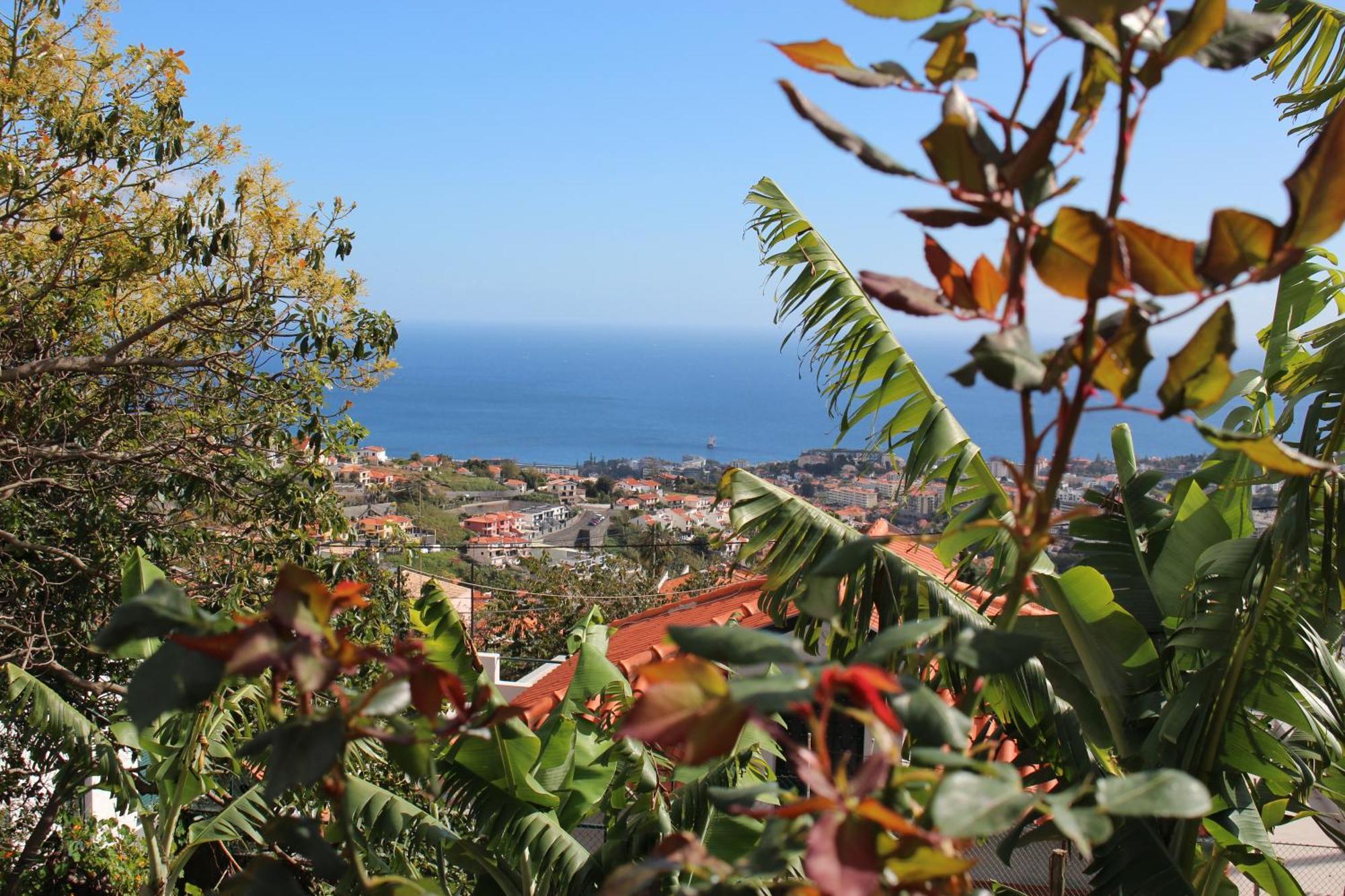 Alojamento Funchal - Silvestre House Exterior photo